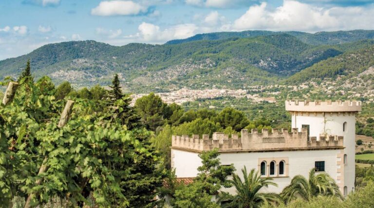 Castell Miquel