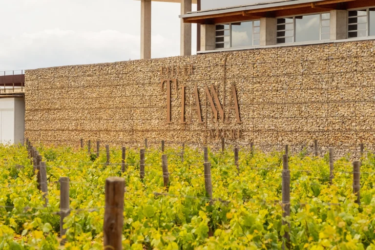 Celler Tianna Negre